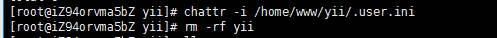 lnmp安装虚拟机 删除出错cannot remove ‘yii/.user.ini’: Operation not permitted
